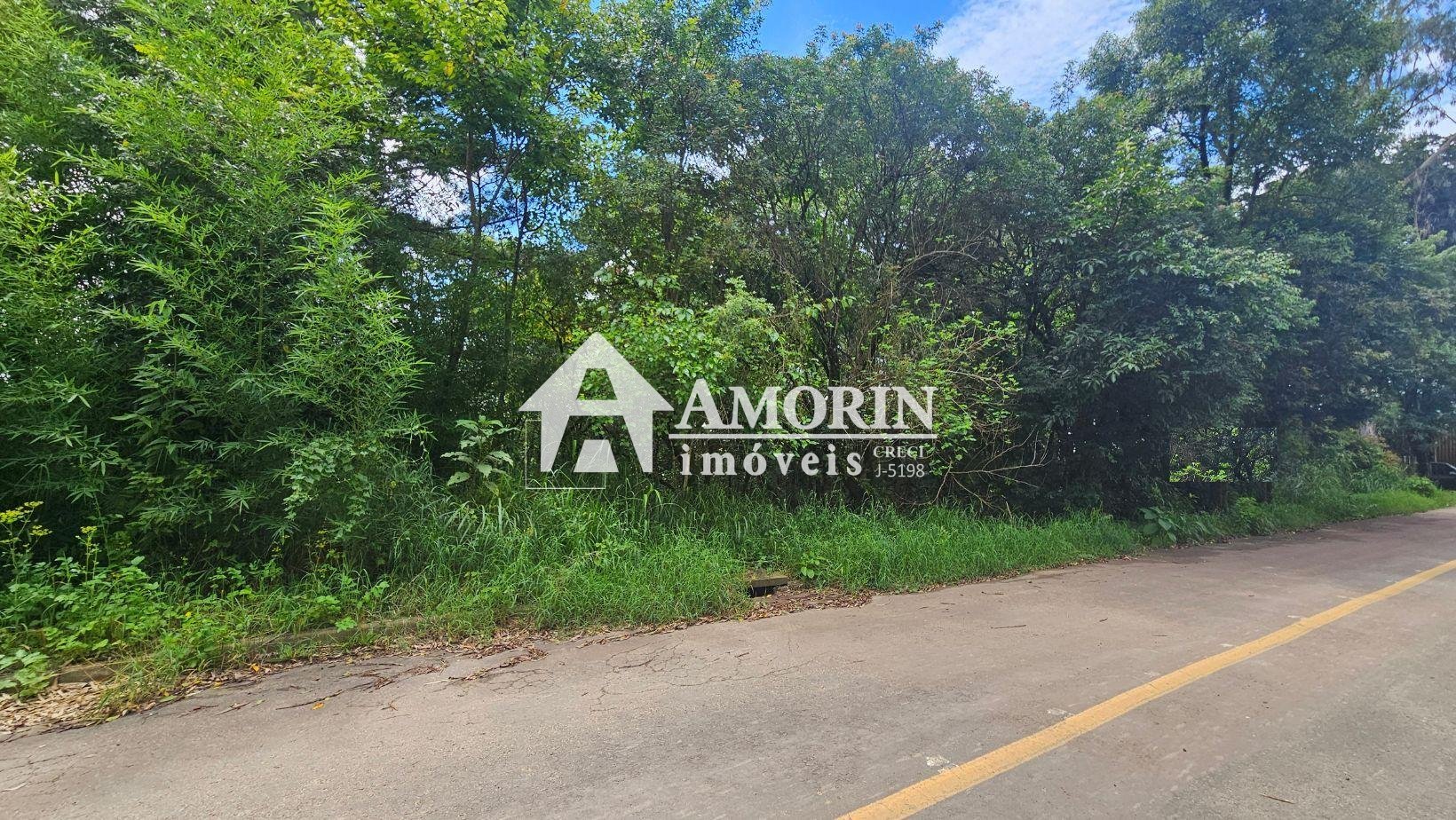 Terreno à venda,11.000m   por R  980.000,00 São Miguel, ALMIRA...