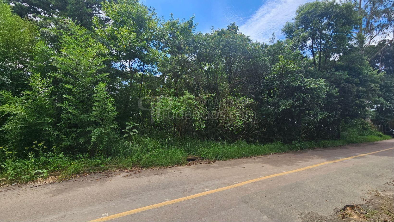 Imóvel urbano de 11.000 m  com natureza exuberante a 11 km de ...