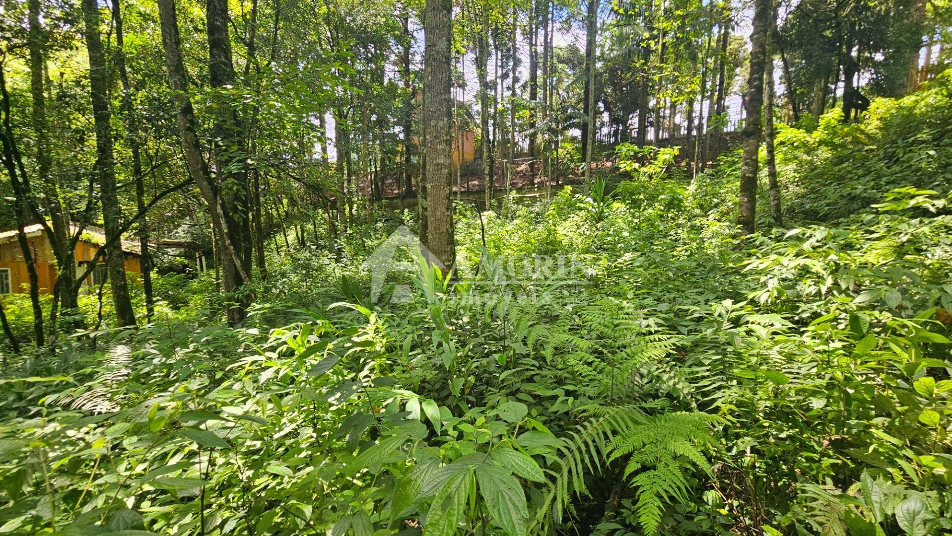 Terreno à venda,11.000m   por R  980.000,00 São Miguel, ALMIRA...