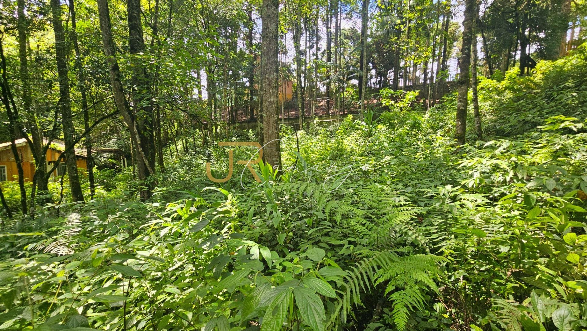 Terreno à venda,11.000m   por R  980.000,00 São Miguel, ALMIRA...