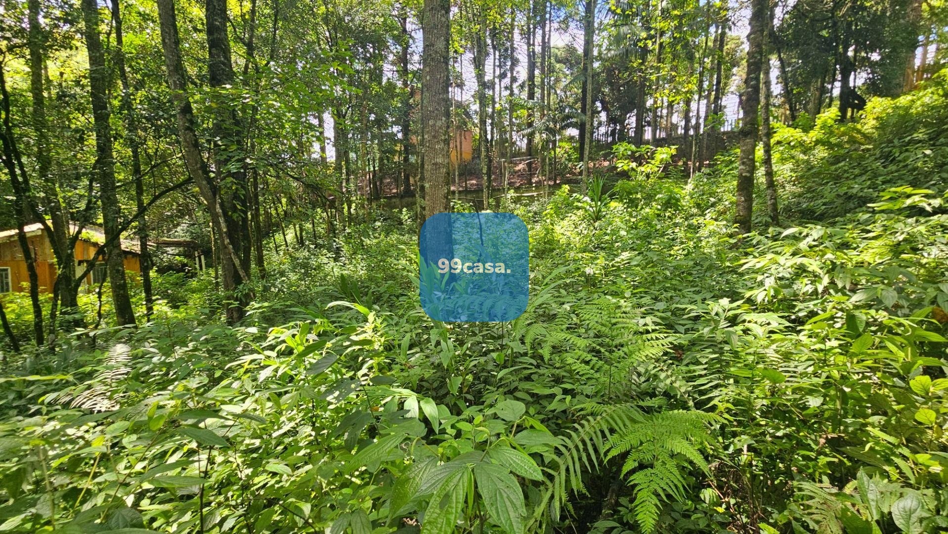 Terreno à venda,11.000m   por R  980.000,00 São Miguel, ALMIRA...