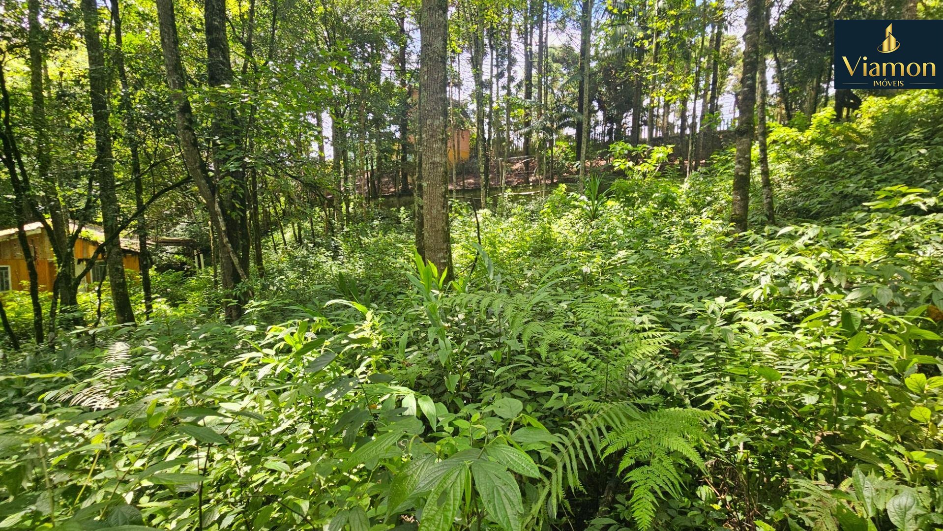 Terreno à venda,11.000m   por R  980.000,00 São Miguel, ALMIRA...