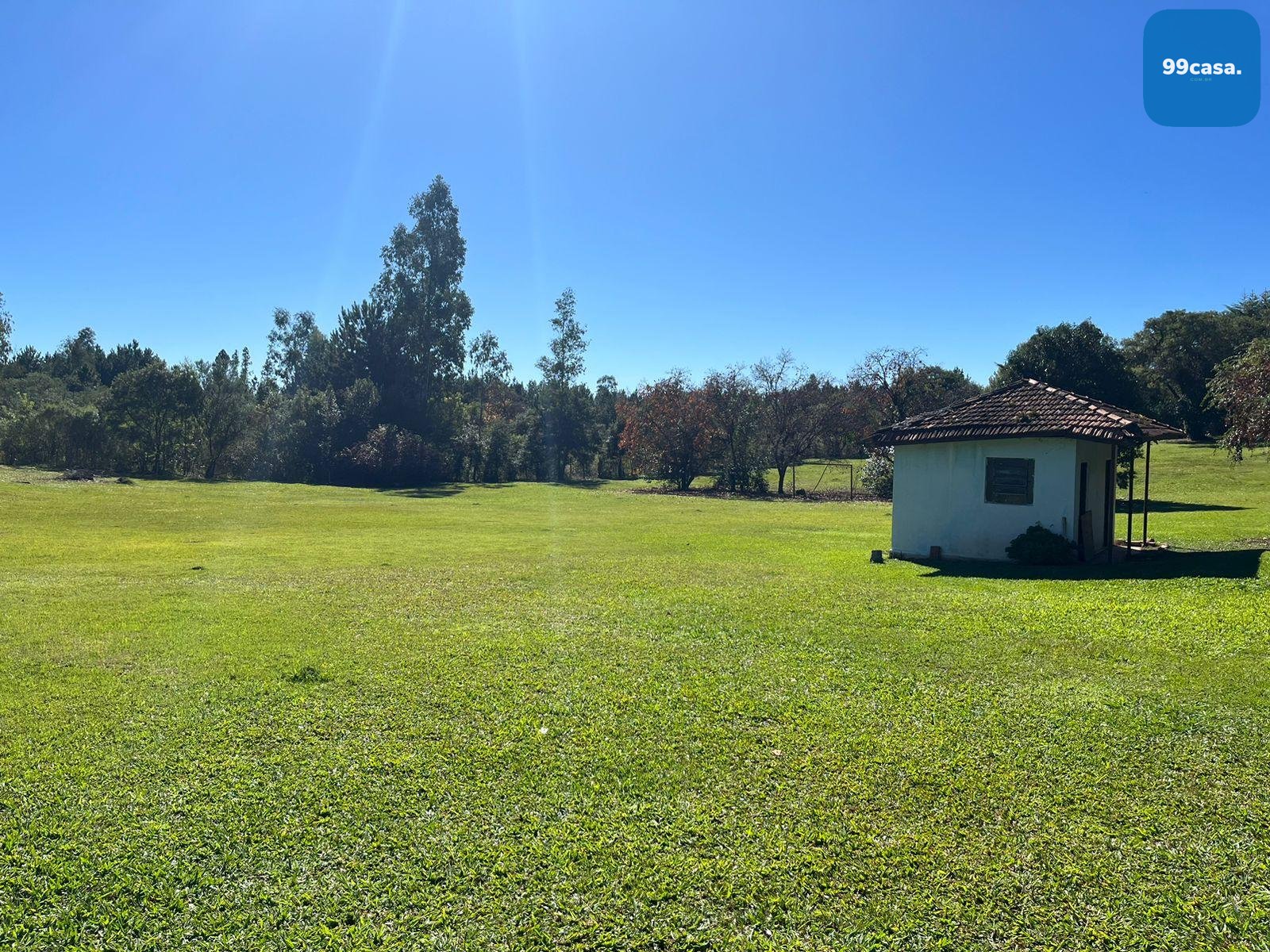 Área Industrial à Venda em Campina Grande do Sul  Investimento...