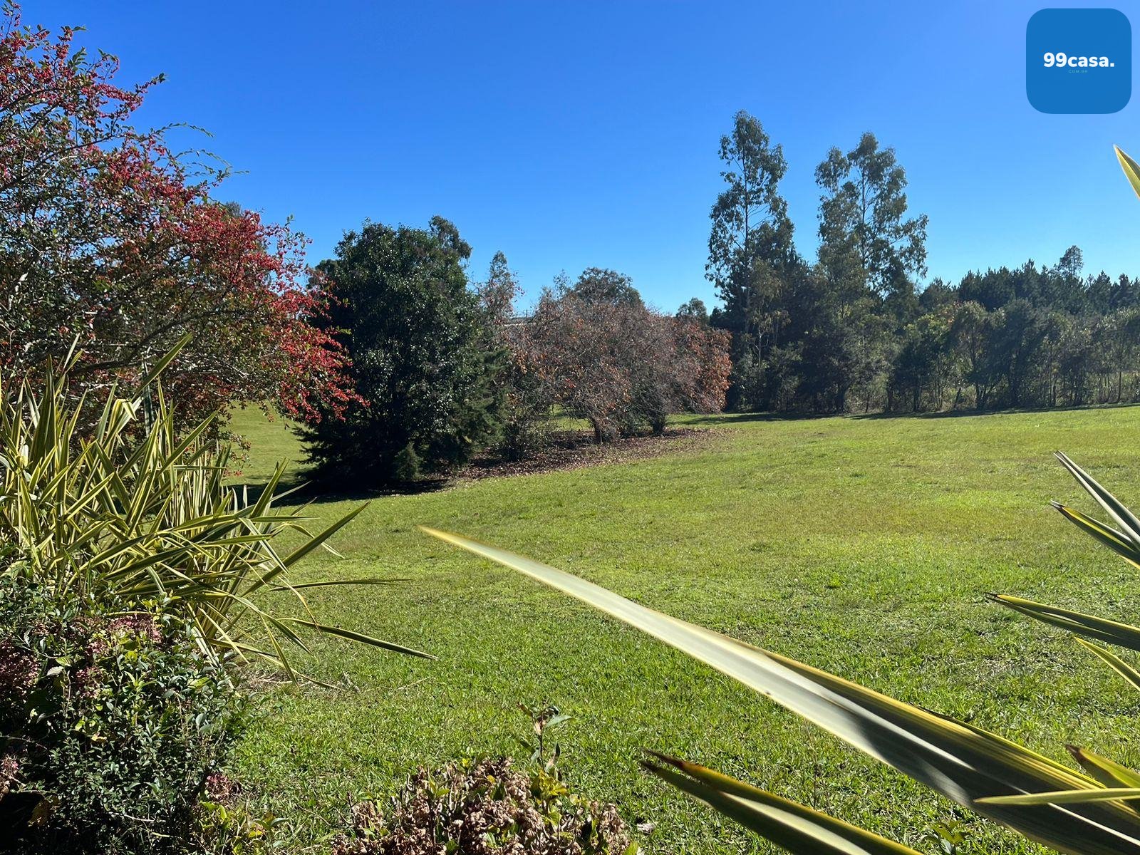 Área Industrial à Venda em Campina Grande do Sul  Investimento...