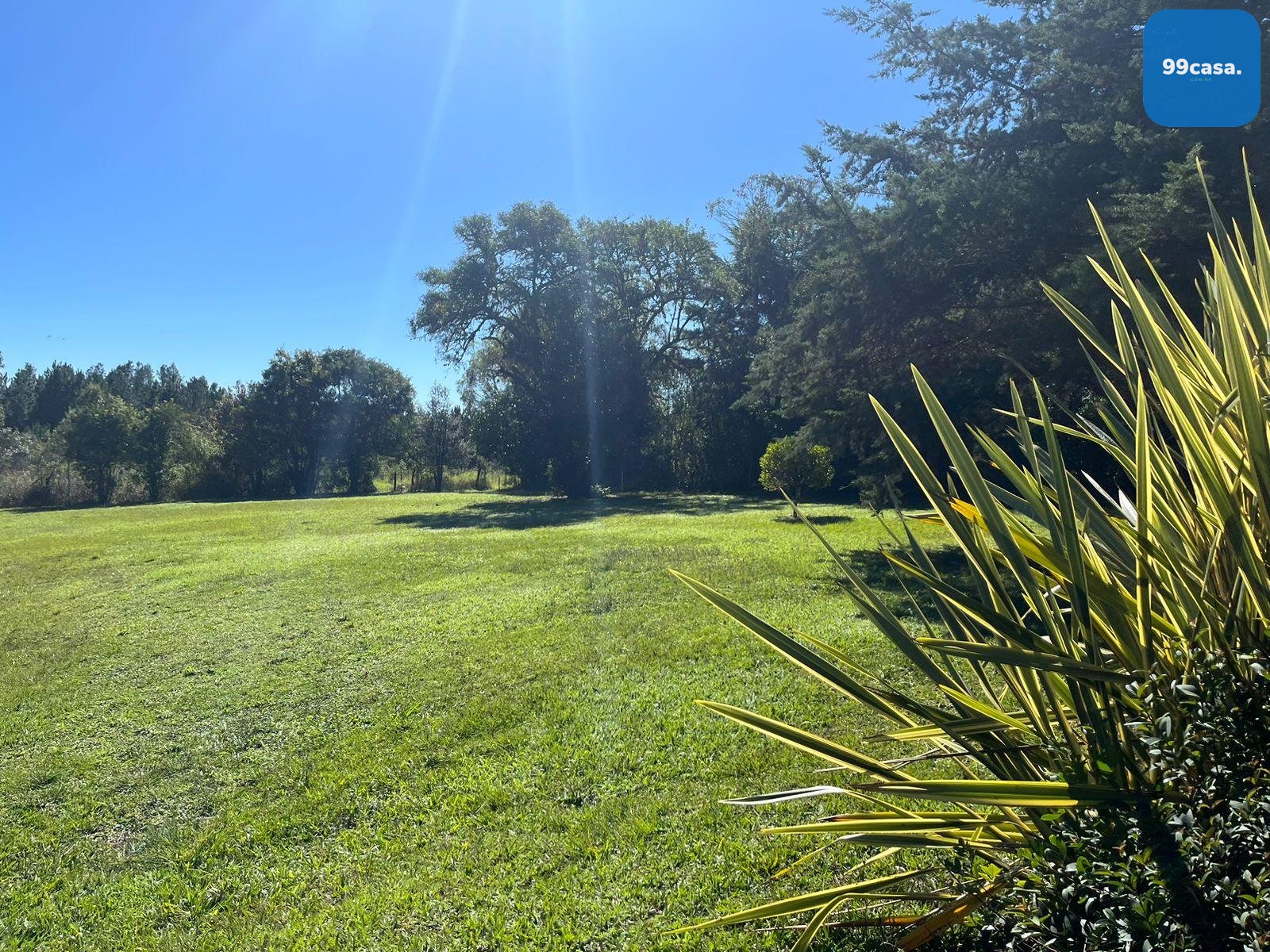 Área Industrial à Venda em Campina Grande do Sul  Investimento...