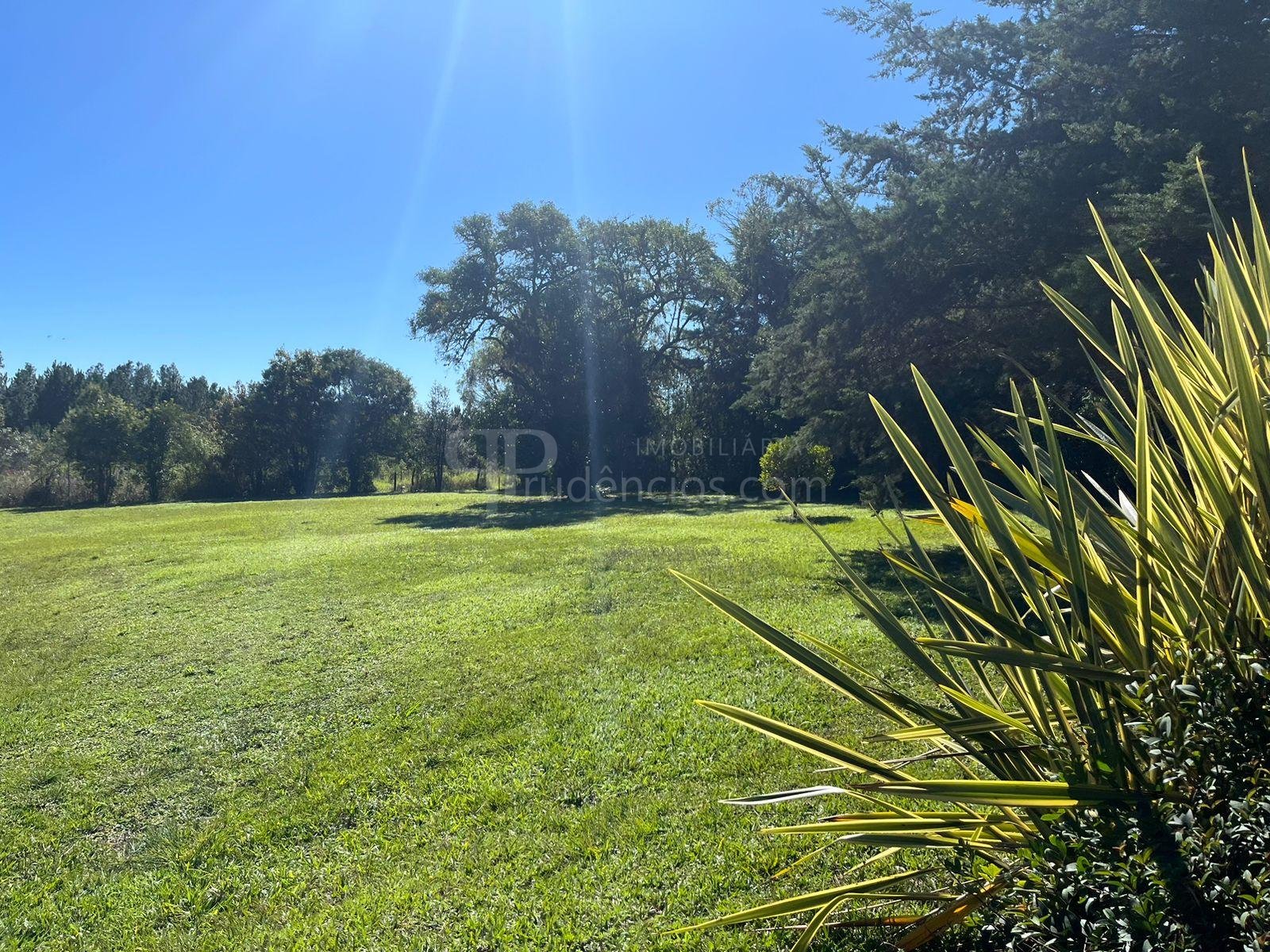Área Industrial à Venda em Campina Grande do Sul  Investimento...