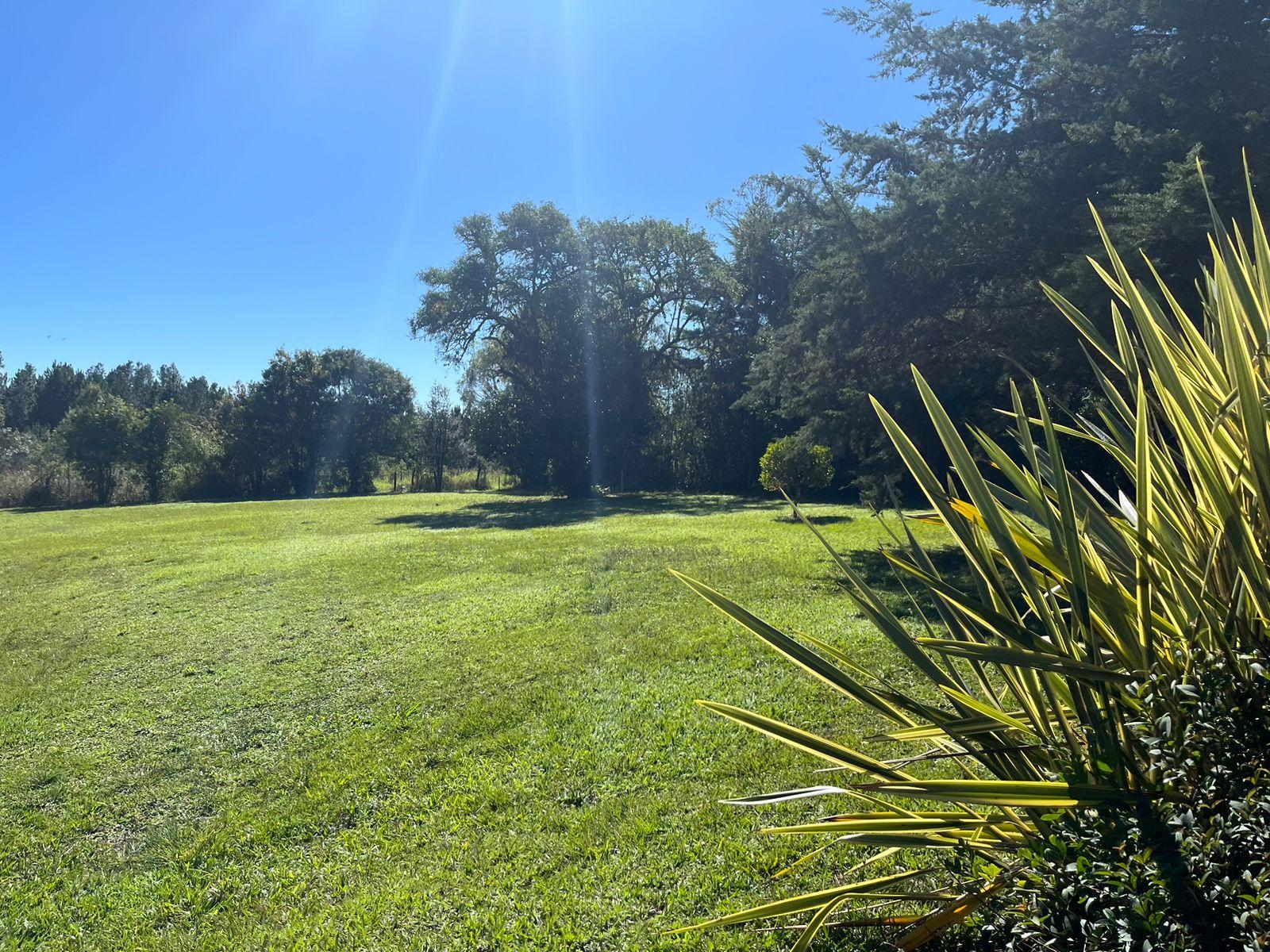 Área Industrial à Venda em Campina Grande do Sul  Investimento...