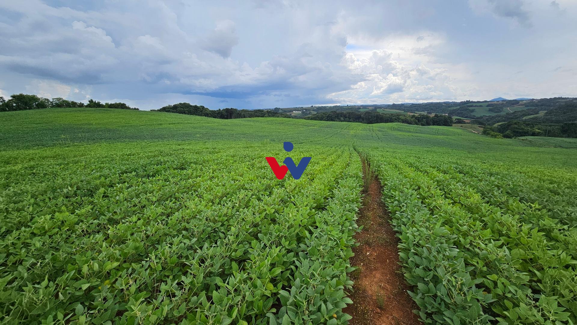 Chácara com 48400m , a 2,7 km do centro de Campo Magro-PR
