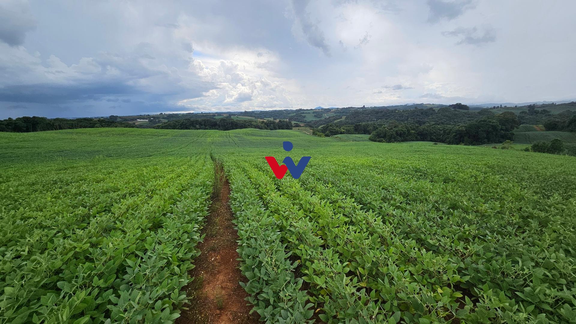 Chácara com 48400m , a 2,7 km do centro de Campo Magro-PR