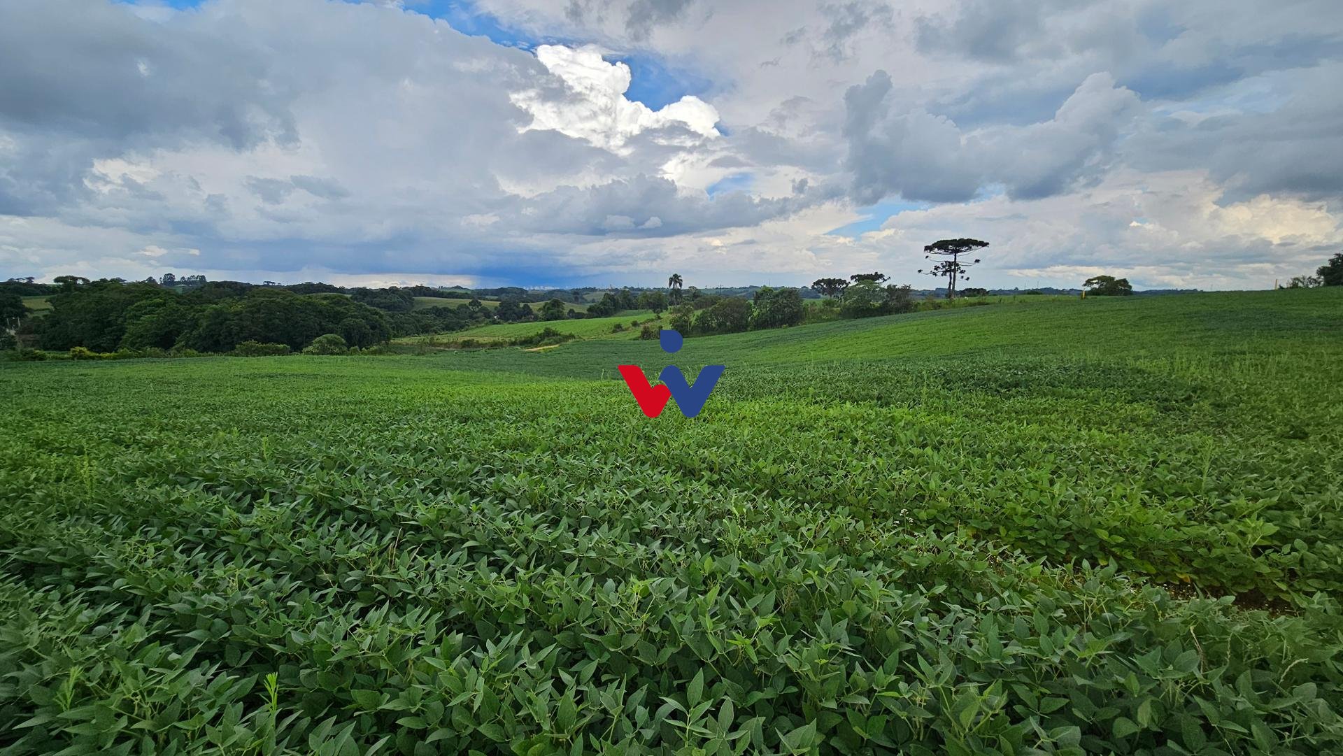 Chácara com 48400m , a 2,7 km do centro de Campo Magro-PR