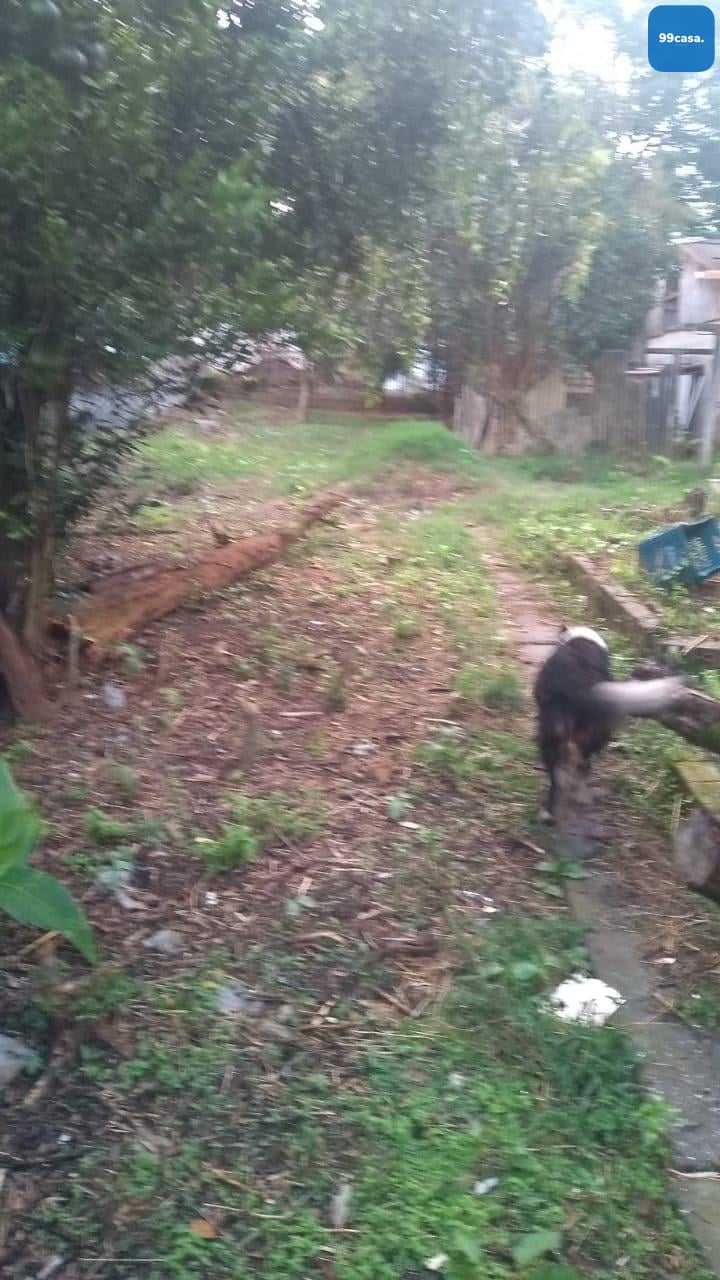 Terreno à Venda no Bairro Lindóia  480m  em Área Comercial e R...