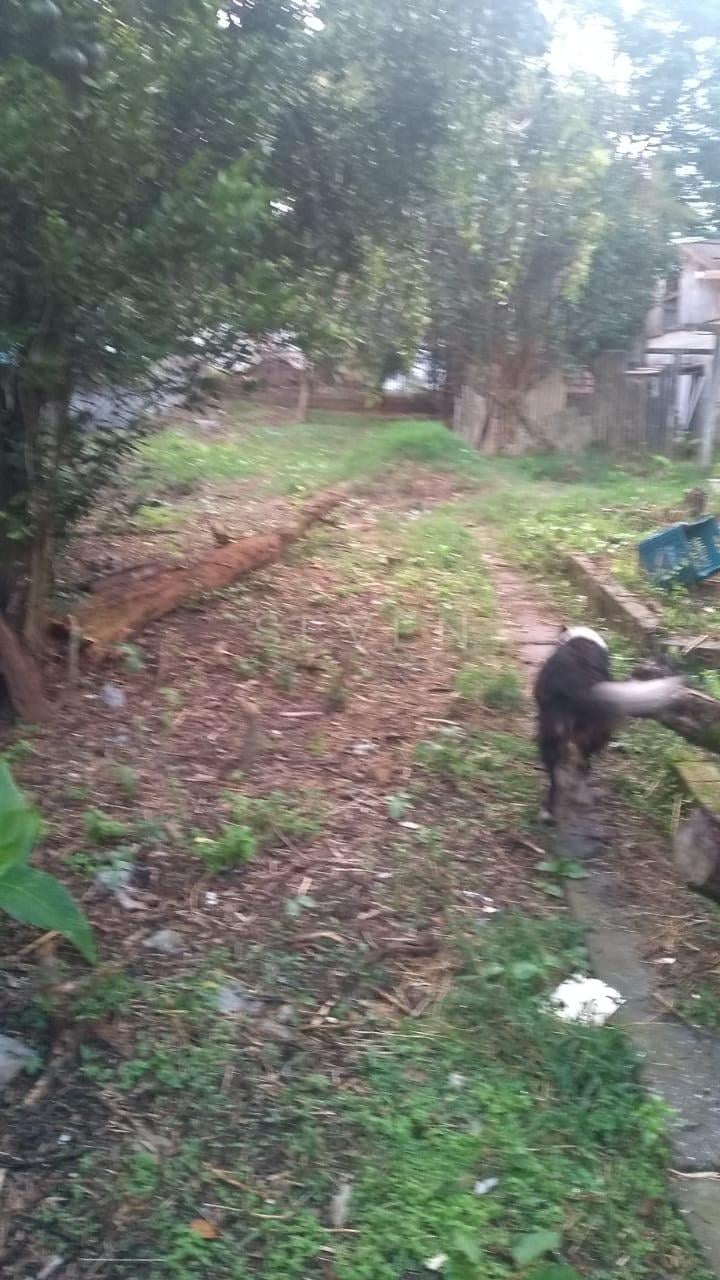 Terreno à venda, lindóia, CURITIBA - PR