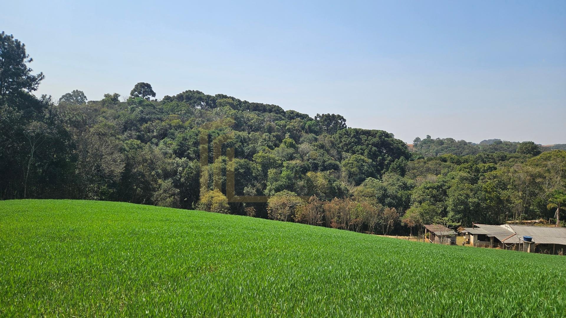 Área de 20.000 m  para Chácara Próxima a Araucária  Ótima Opor...