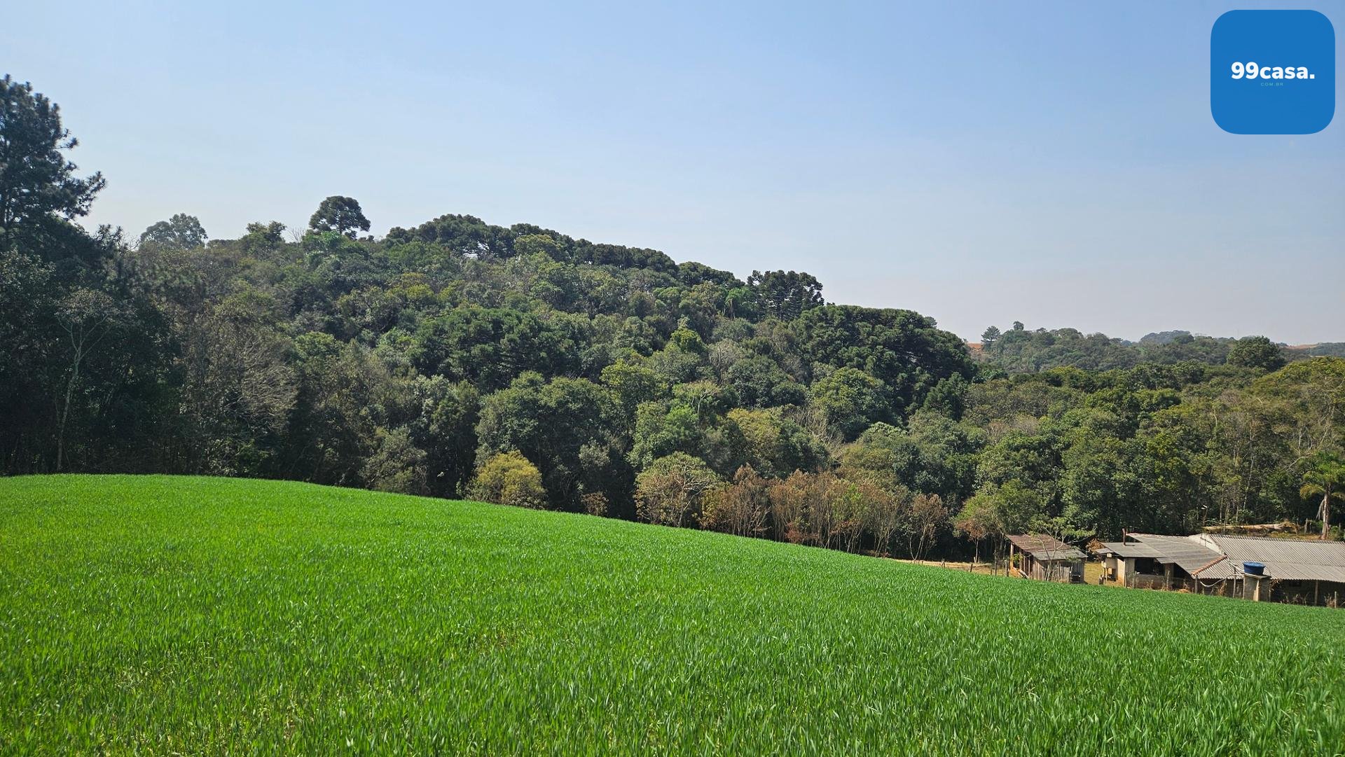 Área de 20.000 m  para Chácara Próxima a Araucária  Ótima Opor...