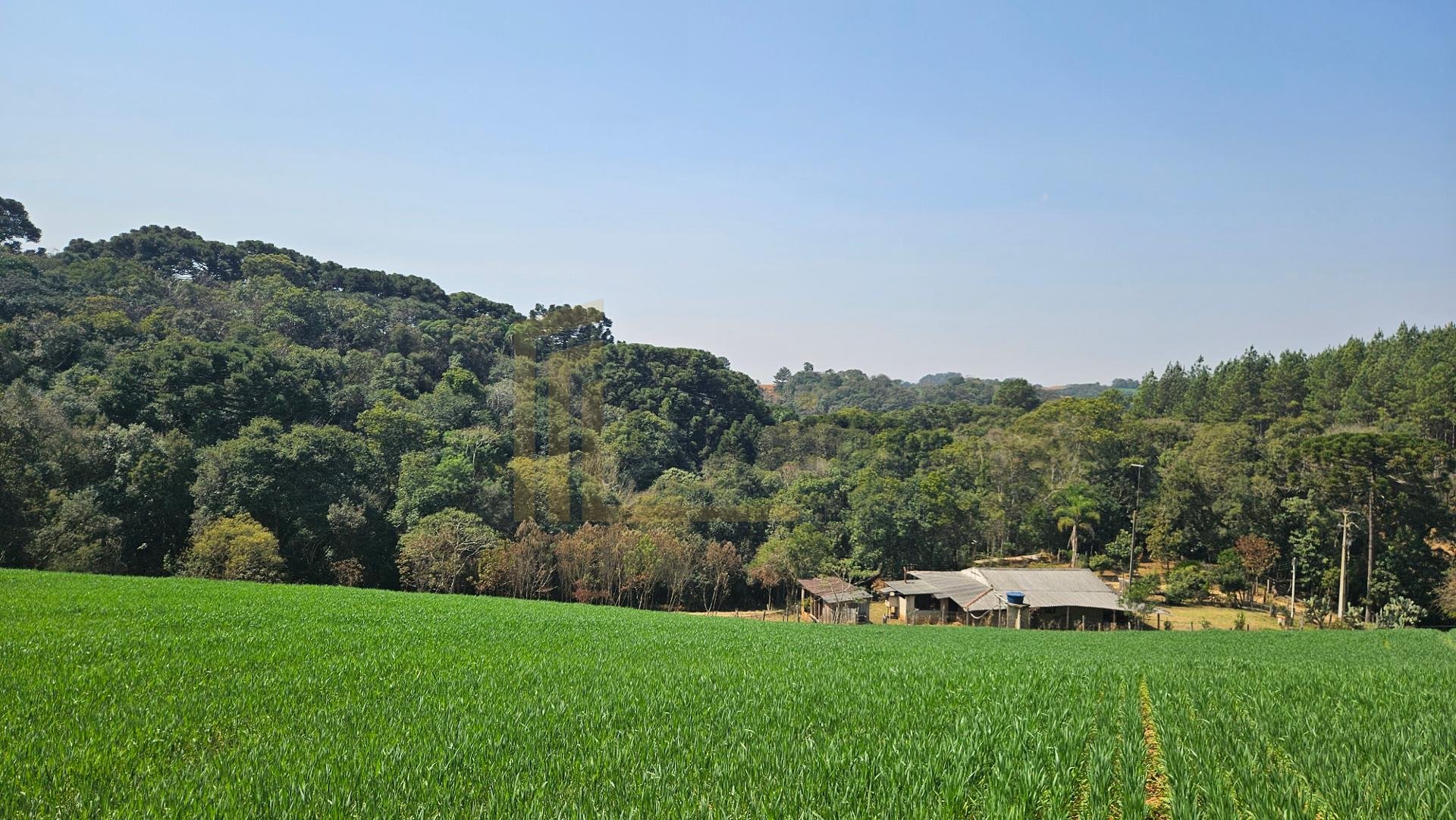 Área de 20.000 m  para Chácara Próxima a Araucária  Ótima Opor...