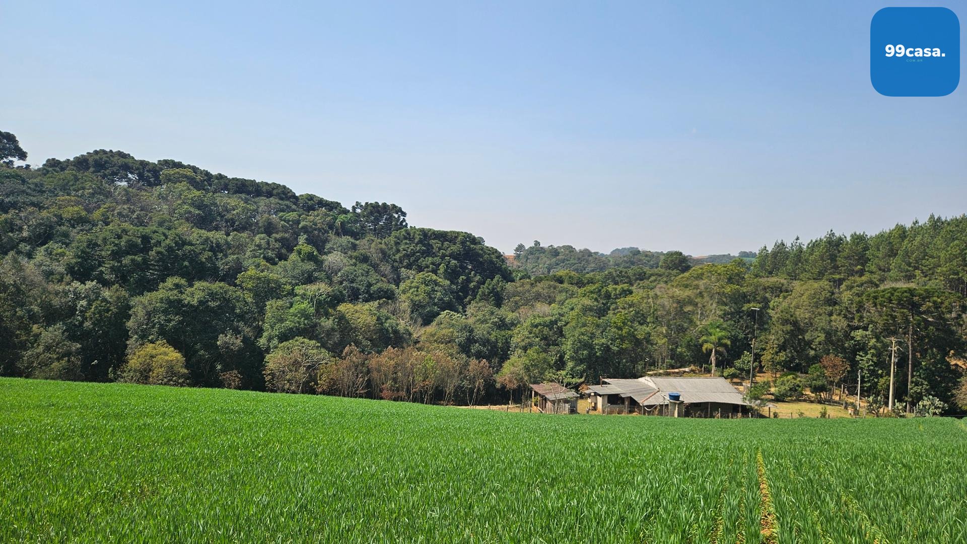 Área de 20.000 m  para Chácara Próxima a Araucária  Ótima Opor...