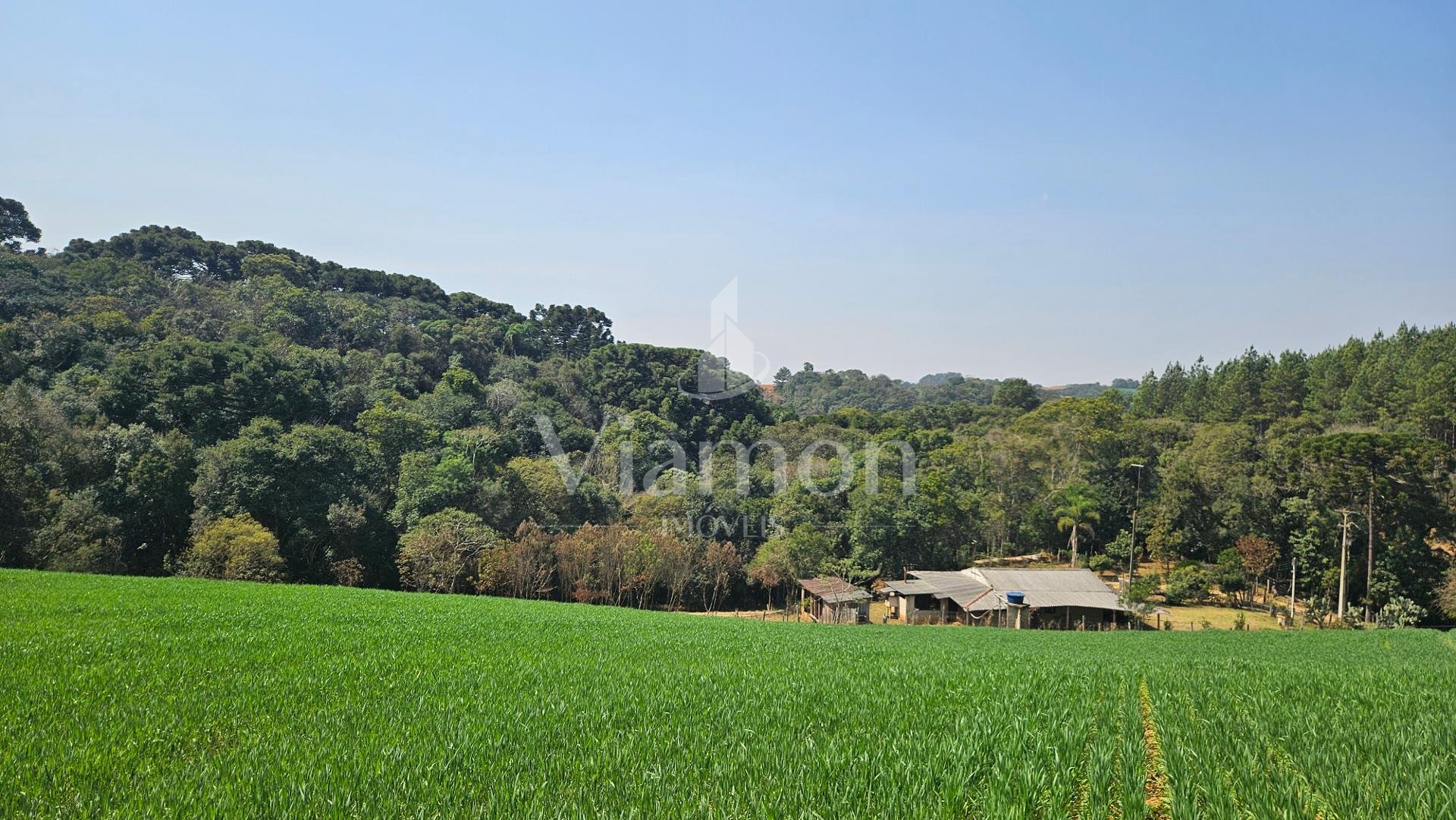 Chácara à venda, valor a partir de R 550.000,00, Roça Nova, AR...