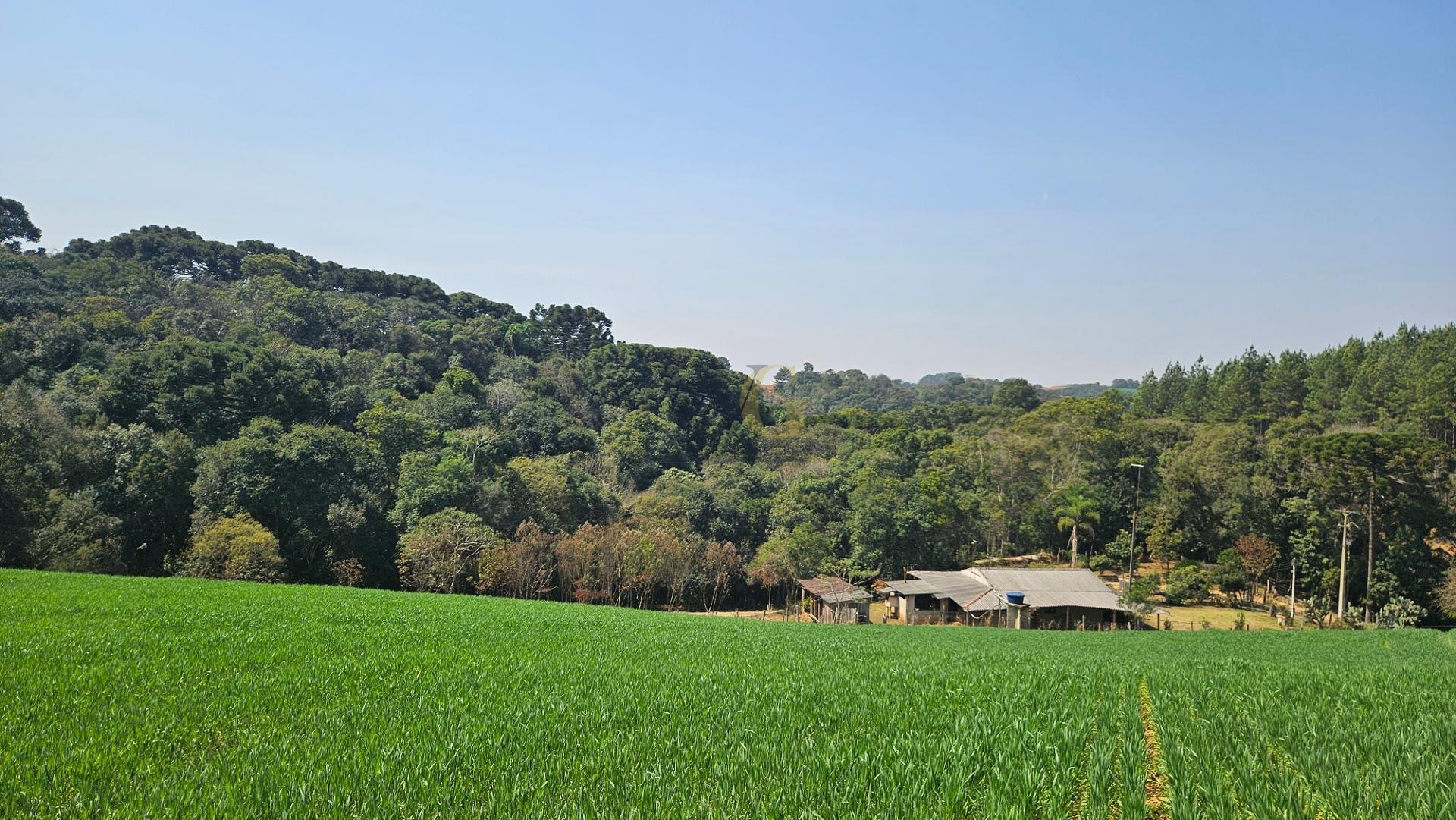 Área de 20.000 m  para Chácara Próxima a Araucária  Ótima Opor...