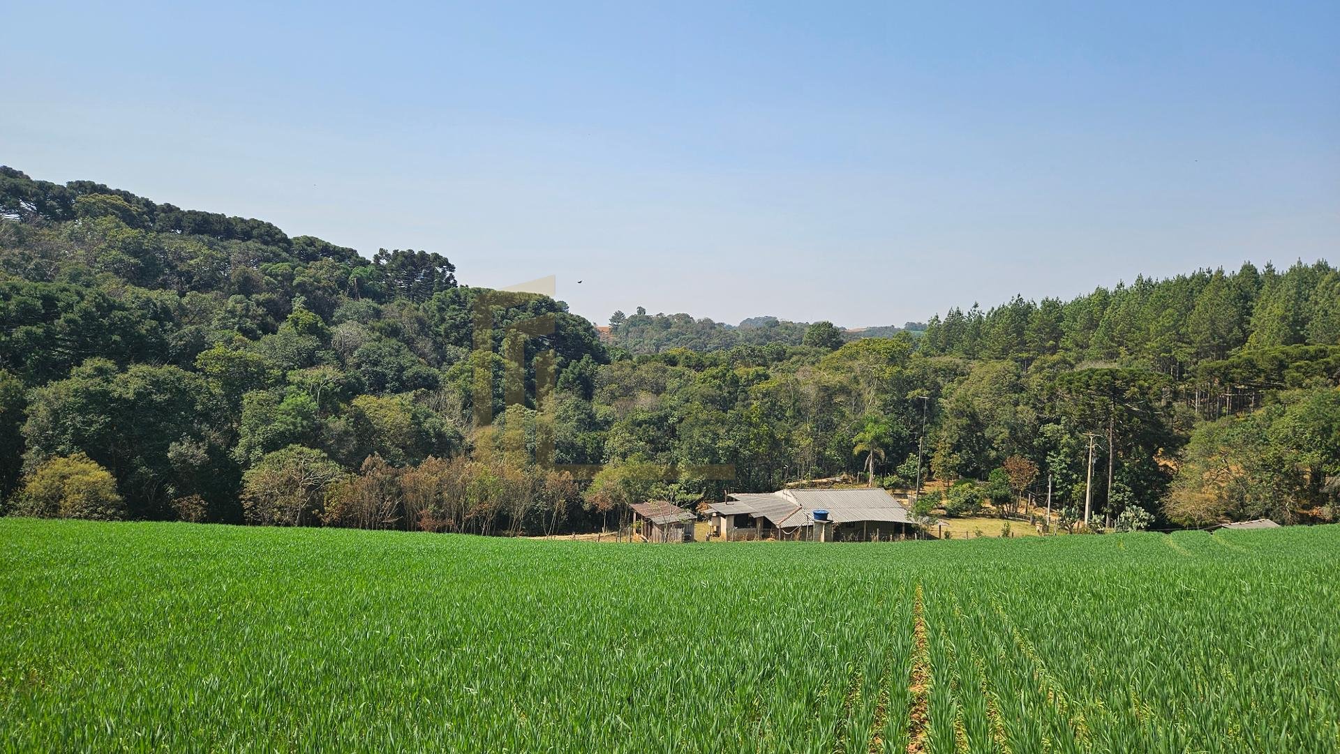 Área de 20.000 m  para Chácara Próxima a Araucária  Ótima Opor...