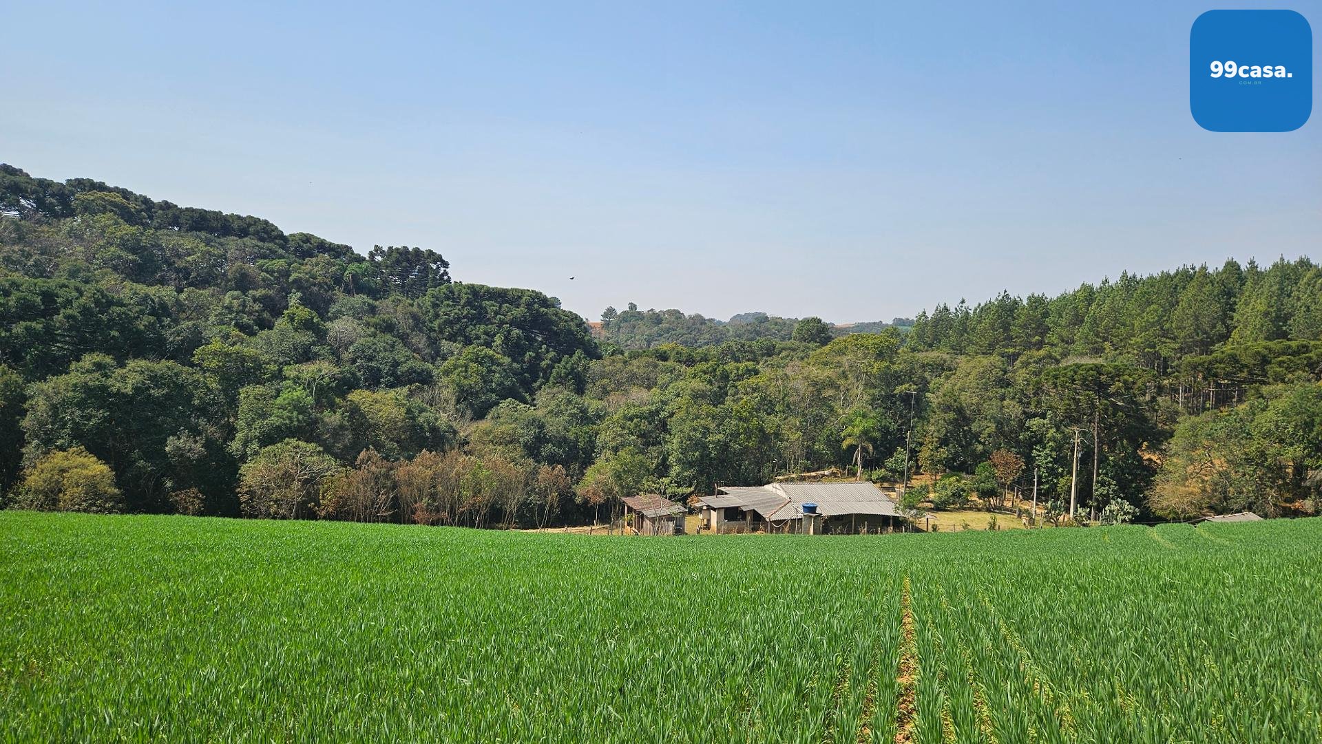 Área de 20.000 m  para Chácara Próxima a Araucária  Ótima Opor...