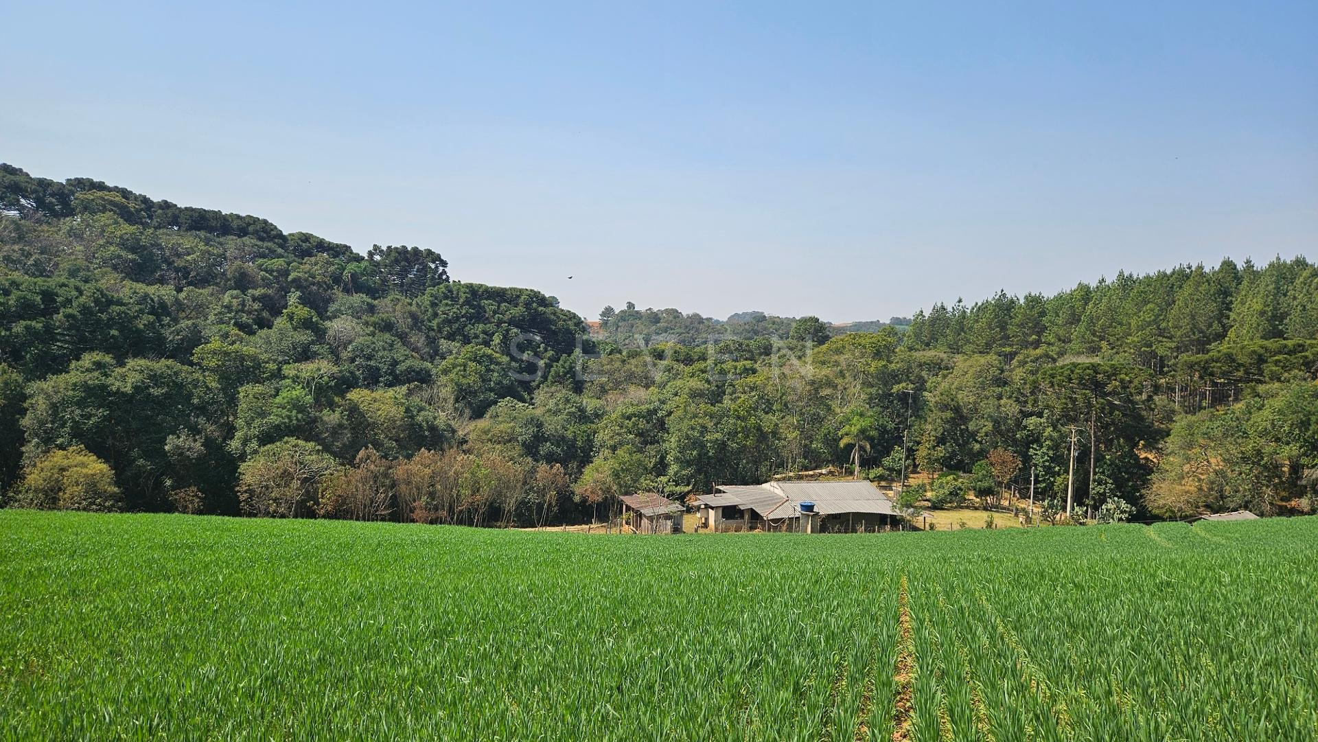 Área de 20.000 m  para Chácara Próxima a Araucária  Ótima Opor...