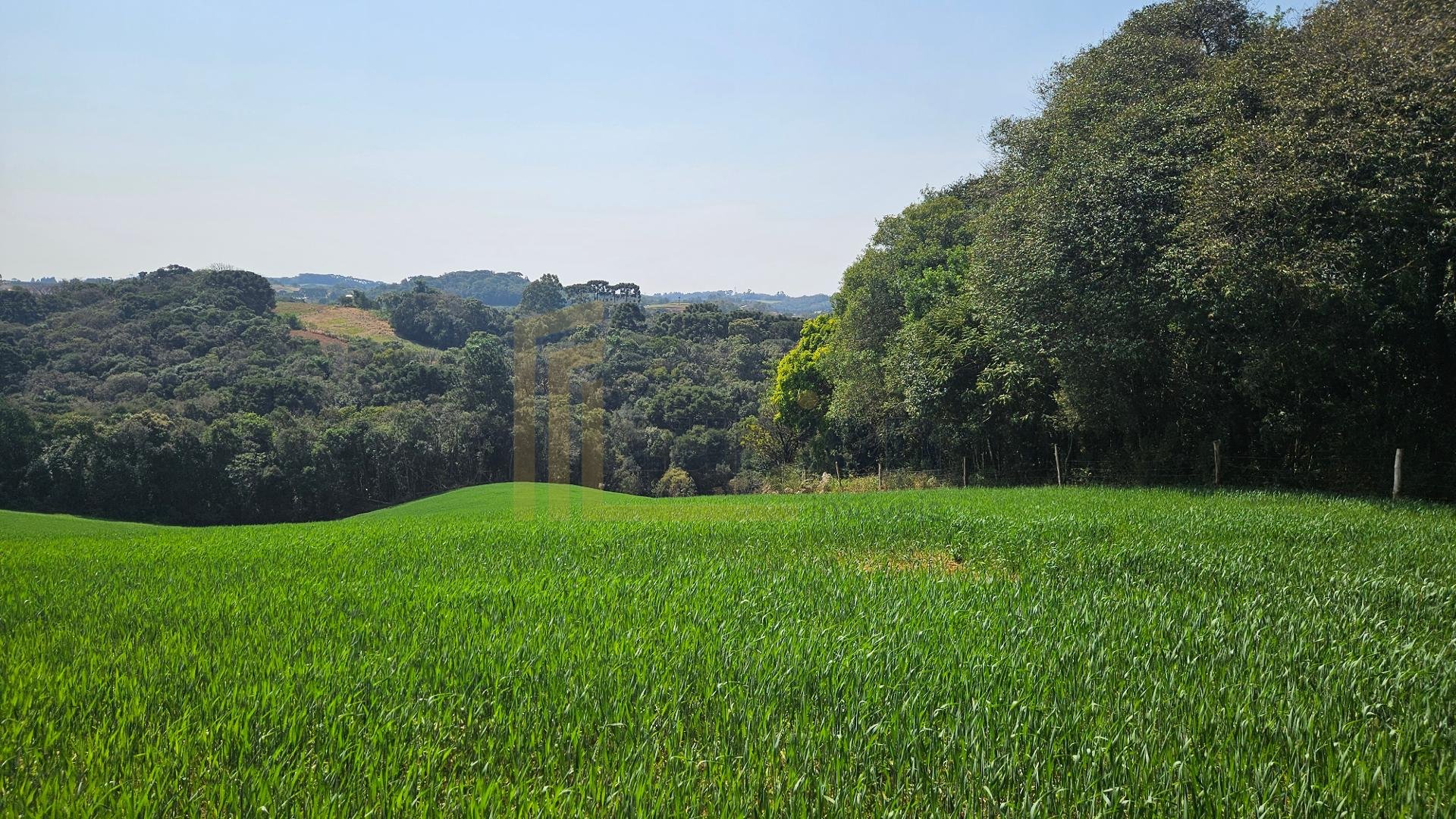 Área de 20.000 m  para Chácara Próxima a Araucária  Ótima Opor...