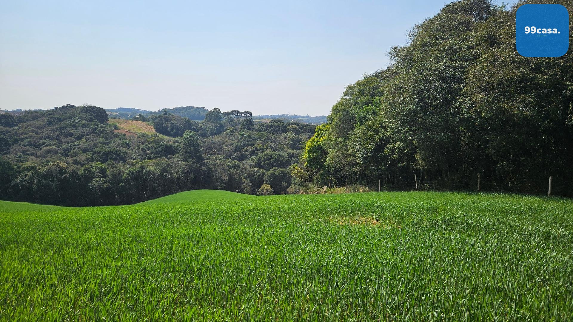 Área de 20.000 m  para Chácara Próxima a Araucária  Ótima Opor...