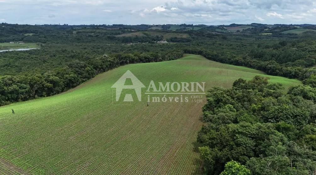 Rural à venda,242000.00 m , rio verde abaixo, ARAUCARIA - PR