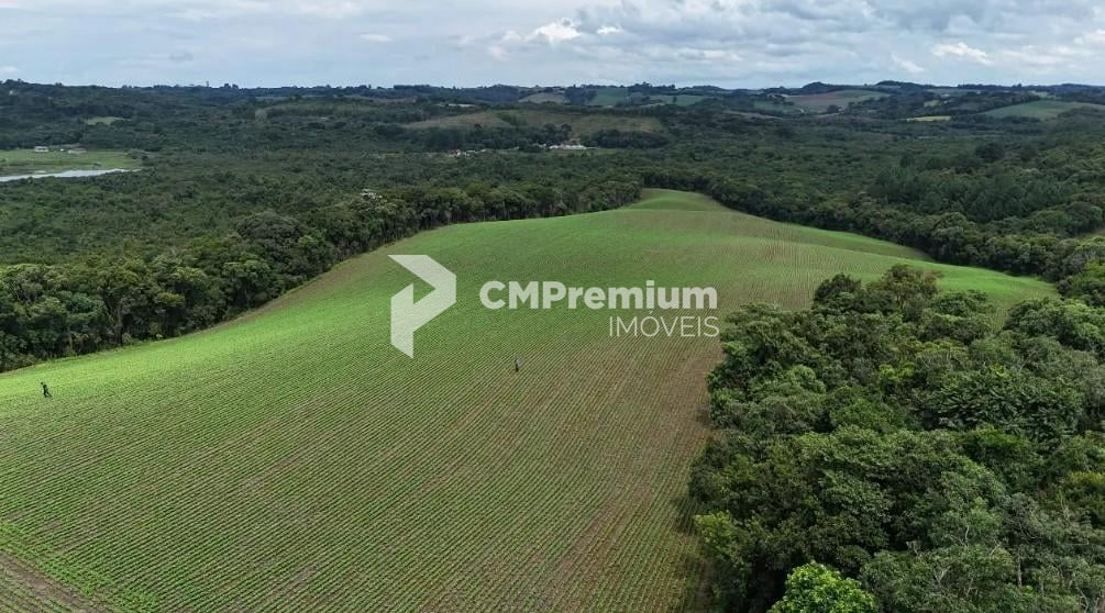 Rural à venda,242000.00 m , rio verde abaixo, ARAUCARIA - PR