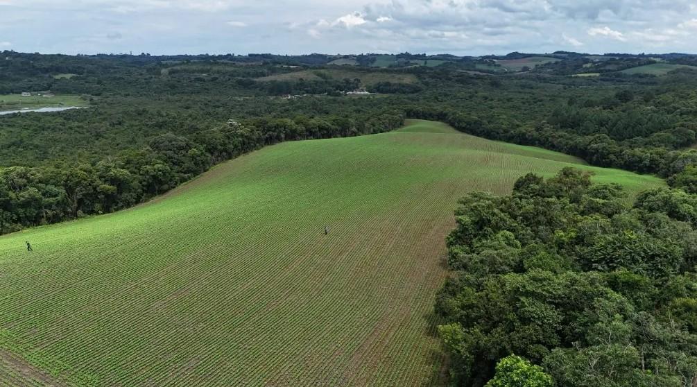 Terreno de 10 Alqueires à Venda em Araucária  Oportunidade Única de Investimento