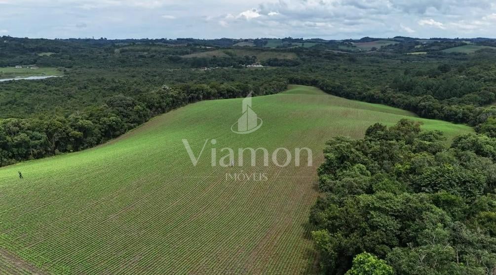 Rural à venda,242000.00 m , rio verde abaixo, ARAUCARIA - PR