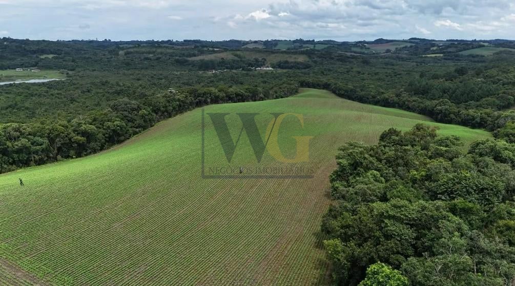 Rural à venda,242000.00 m , rio verde abaixo, ARAUCARIA - PR