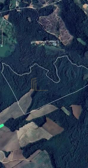 Terreno de 10 Alqueires à Venda em Araucária  Oportunidade Úni...