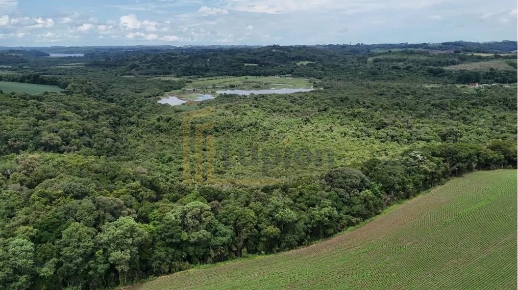 Terreno de 10 Alqueires à Venda em Araucária  Oportunidade Úni...