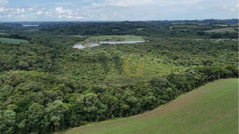 Rural à venda,242000.00 m , rio verde abaixo, ARAUCARIA - PR