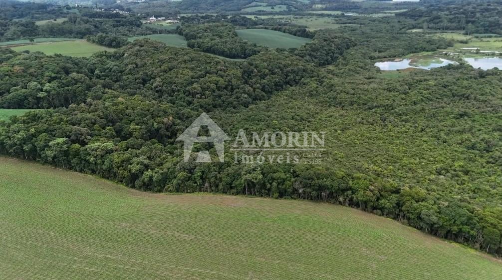 Rural à venda,242000.00 m , rio verde abaixo, ARAUCARIA - PR