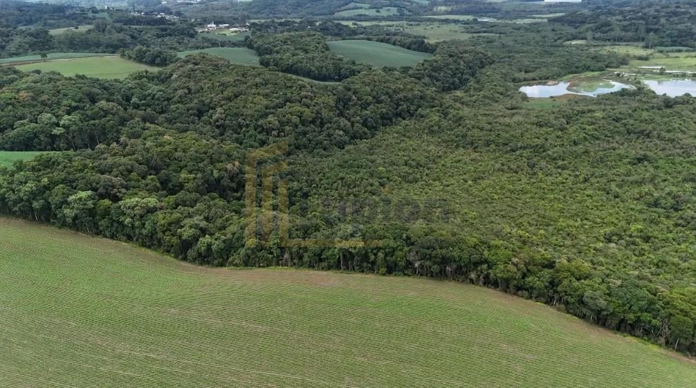 Terreno de 10 Alqueires à Venda em Araucária  Oportunidade Úni...