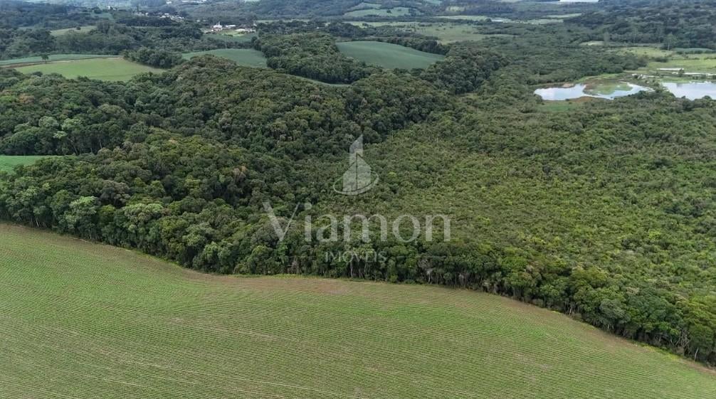 Rural à venda,242000.00 m , rio verde abaixo, ARAUCARIA - PR