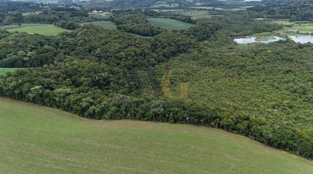 Rural à venda,242000.00 m , rio verde abaixo, ARAUCARIA - PR