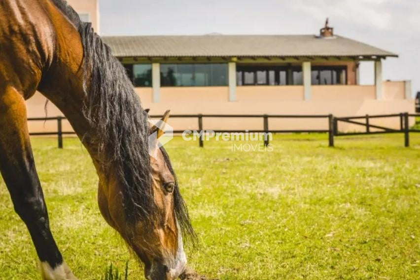 Haras de Alto Padrão em Curitiba  52 ha com Estrutura Completa...