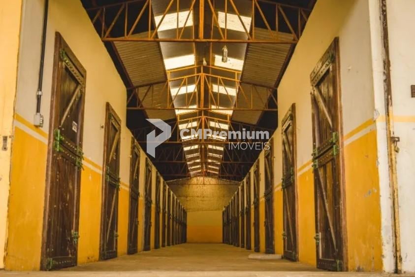 Haras de Alto Padrão em Curitiba  52 ha com Estrutura Completa...