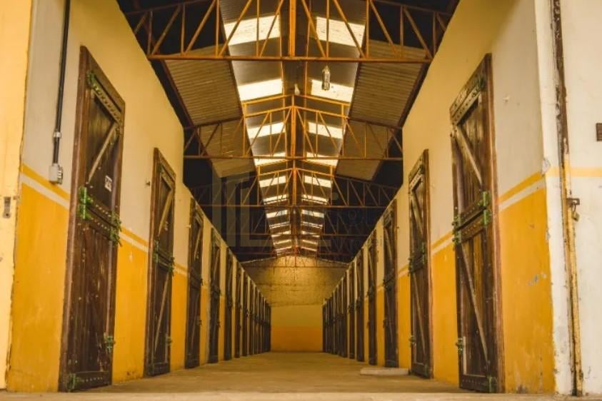 Haras de Alto Padrão em Curitiba  52 ha com Estrutura Completa...