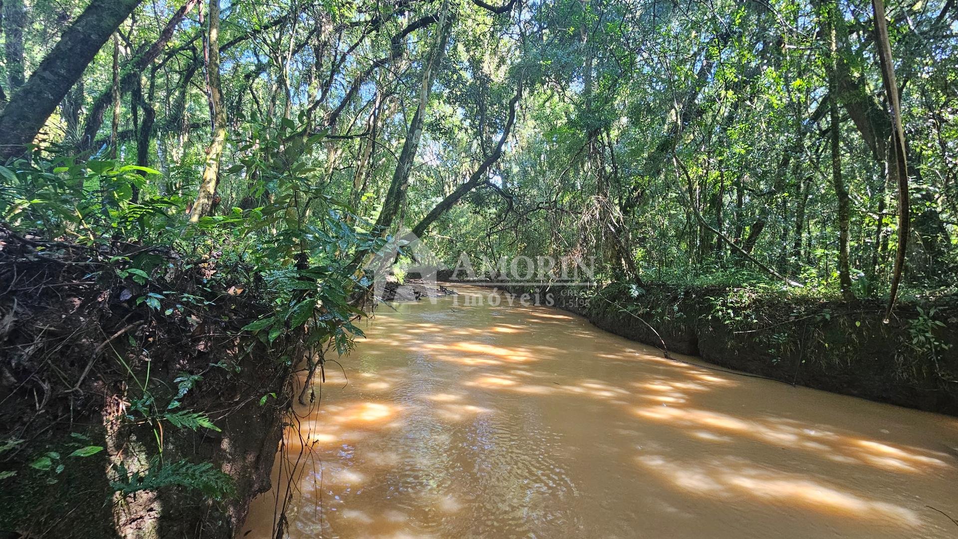 Chácara com 10000 m , registrada, por R  350.000,00 - Zona Rur...