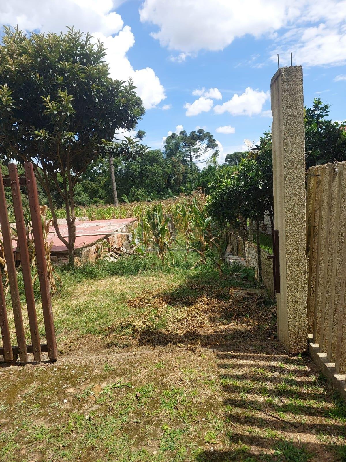 Terreno de 811m  no Tanguá, Perfeito para Sobrado, Empreendime...