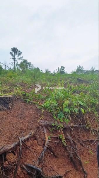 Área Rural à Venda, 17 Alqueires,Três Córregos, CAMPO LARGO - PR