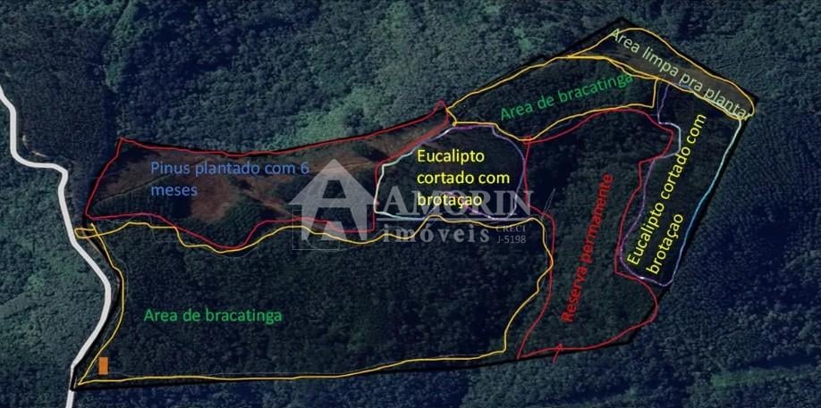 Área Rural à Venda, 17 Alqueires,Três Córregos, CAMPO LARGO - PR