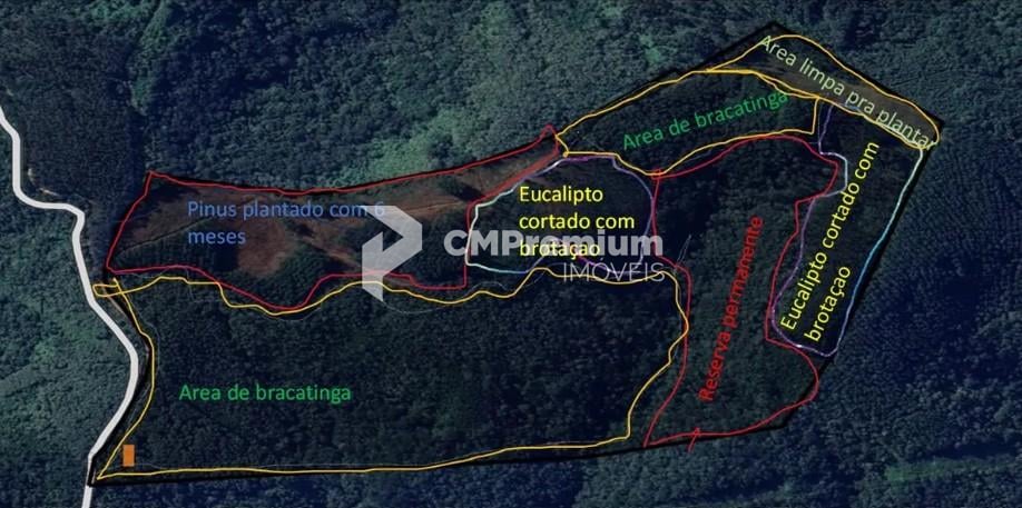 Área Rural à Venda, 17 Alqueires,Três Córregos, CAMPO LARGO - PR