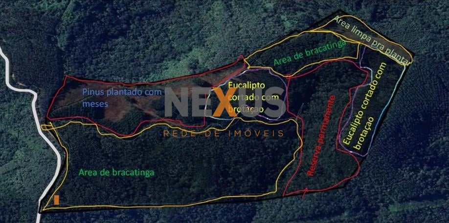 Terreno Rural 17 Alqueires à Venda Próximo a Campo Largo  Plan...