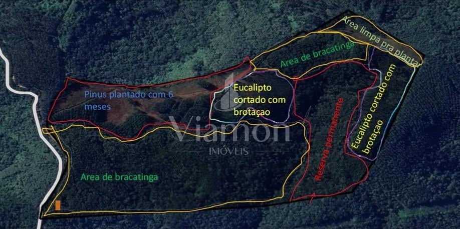 Área Rural à Venda, 17 Alqueires,Três Córregos, CAMPO LARGO - PR