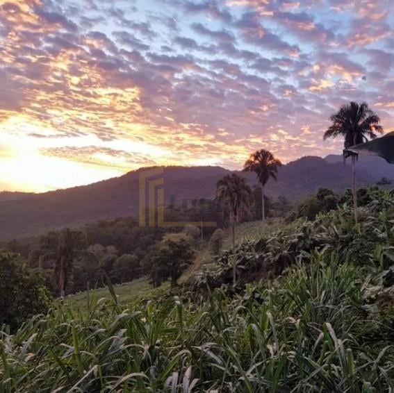 Sítio de 33 Hectares com Produção Agrícola e Potencial para Tu...